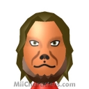 Lion Mii Image by sss